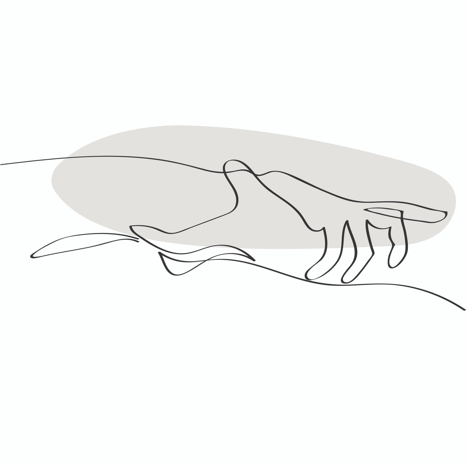 centro medico,mojacar centro medico